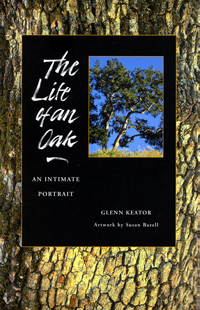 The Life of an Oak: An Intimate Portrait